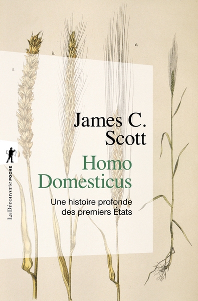 Homo domesticus - une histoire profonde des premiers etats - Image principale