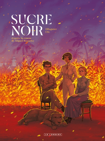 Sucre noir - Image principale
