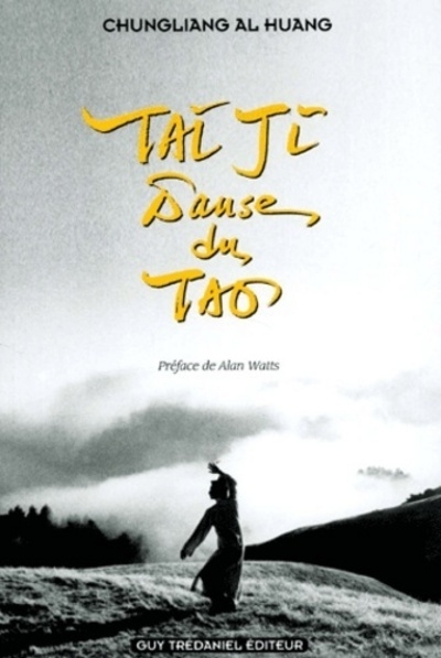 Tai ji danse du tao - Image principale