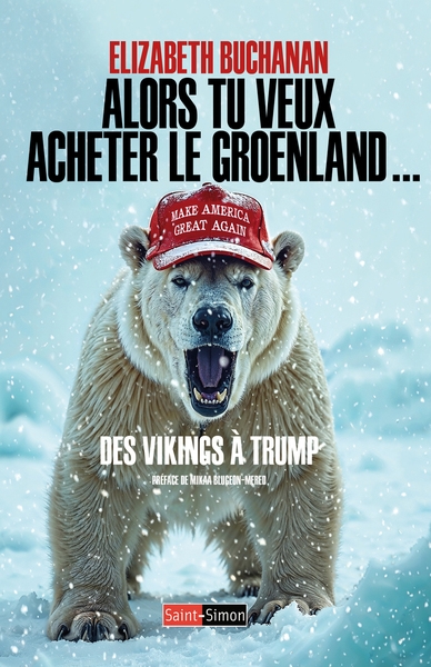 Alors tu veux acheter le groenland... - des vikings à trump - Image principale