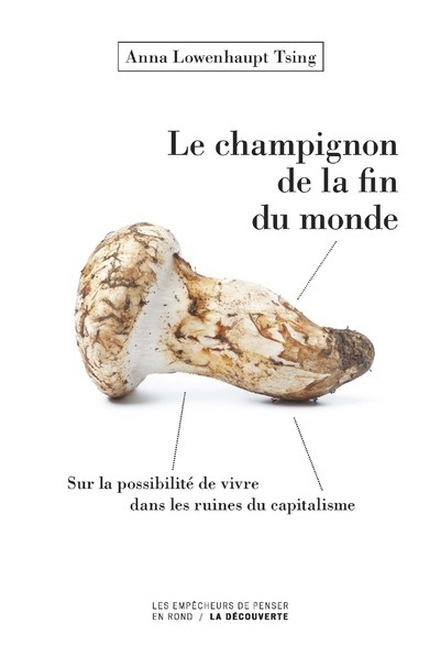 Le champignon de la fin du monde - sur la possibilité de vivre dans les ruines du capitalisme - Image principale