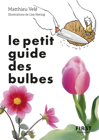 Le petit guide des bulbes - Image principale
