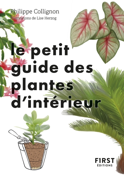 Le petit guide jardin des plantes d'intérieur - Image principale
