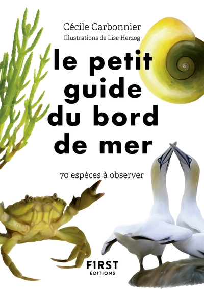 Le petit guide du bord de mer - Image principale