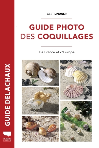 Guide photo des coquillages - Image principale