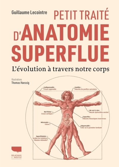 Petit traité d'anatomie superflue - Image principale