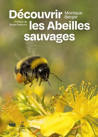 Découvrir les abeilles sauvages - Image principale