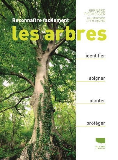 Reconnaître facilement les arbres - Image principale