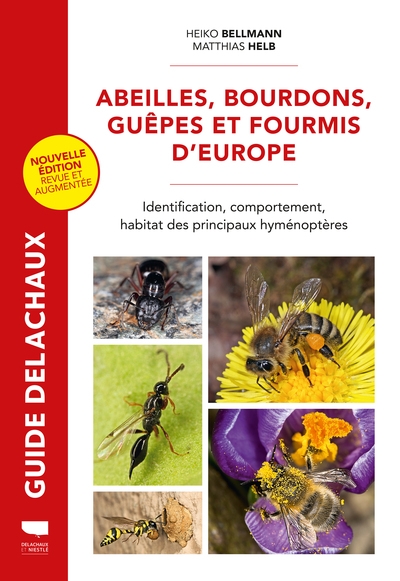 Abeilles, bourdons, guêpes et fourmis d'europe - Image principale