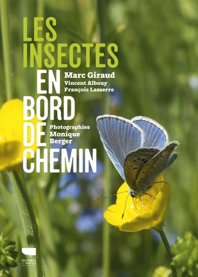 Les insectes en bord de chemin - Image principale