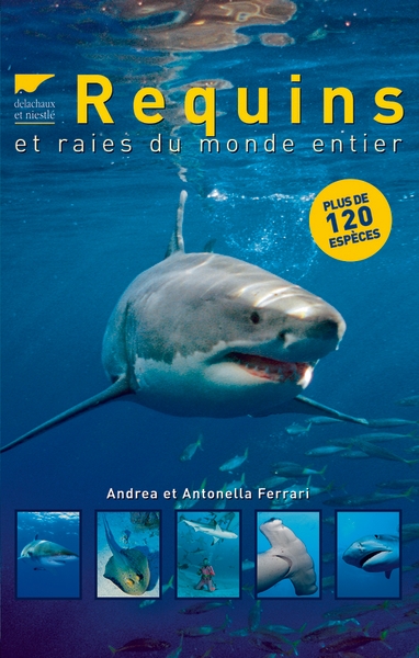 Requins et raies du monde entier - Image principale