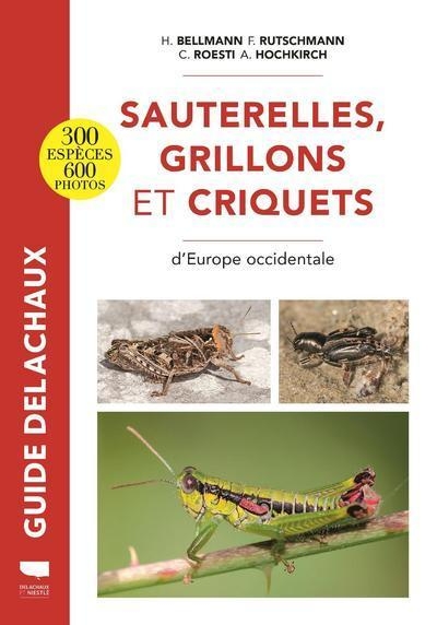 Sauterelles, grillons et criquets d'europe occidentale - Image principale
