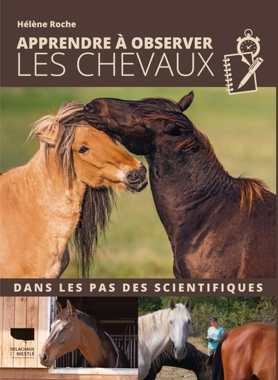 Apprendre à observer les chevaux - Image principale