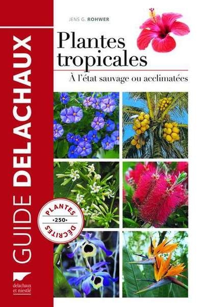 Plantes tropicales - Image principale