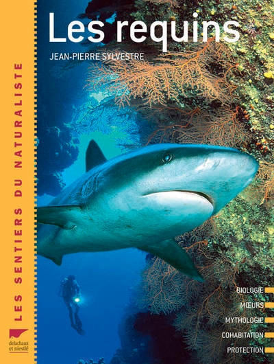 Les requins - Image principale