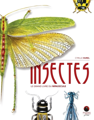 Insectes - Image principale