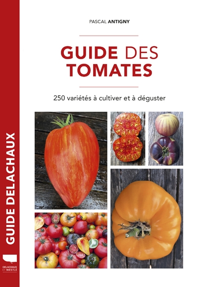 Guide des tomates - Image principale