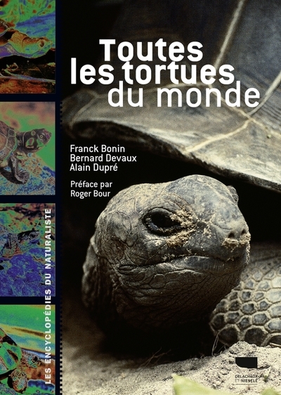 Toutes les tortues du monde - Image principale