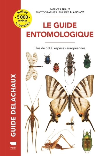 Guide entomologique - Image principale