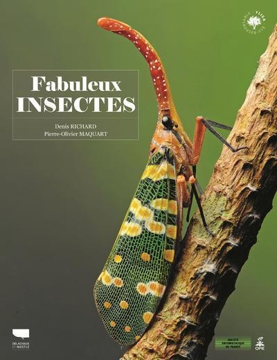 Fabuleux insectes - Image principale