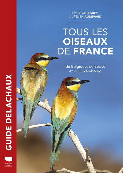 Tous les oiseaux de france - Image principale