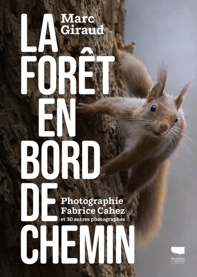 La forêt en bord de chemin - Image principale