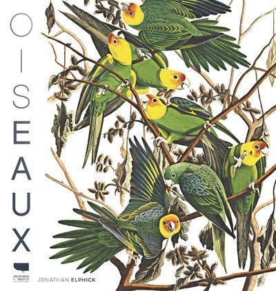 Oiseaux - Image principale