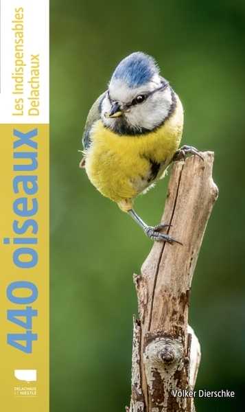 440 oiseaux - Image principale