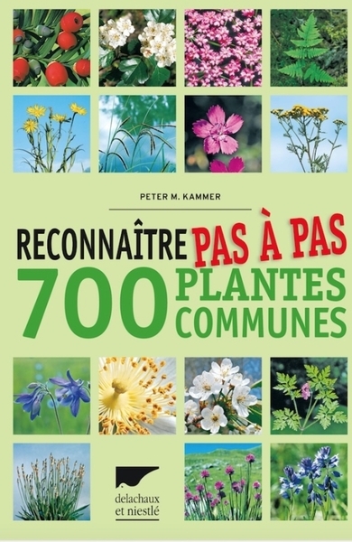 Reconnaître pas à pas 700 plantes communes - Image principale