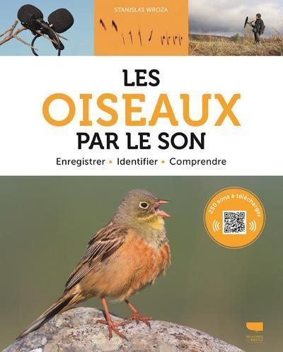 Les oiseaux par le son - Image principale