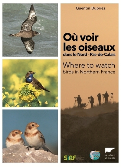 Où voir les oiseaux dans le nord pas-de-calais - Image principale