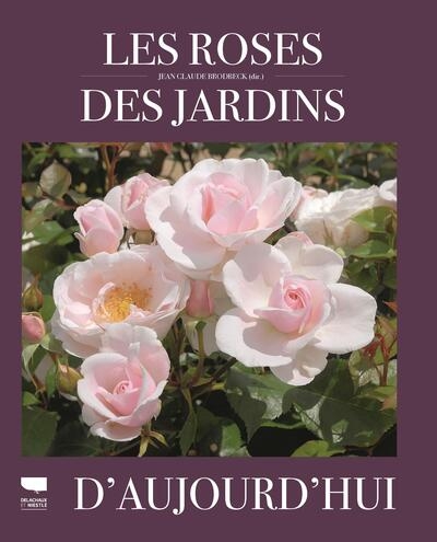 Les roses des jardins d'aujourd'hui - Image principale