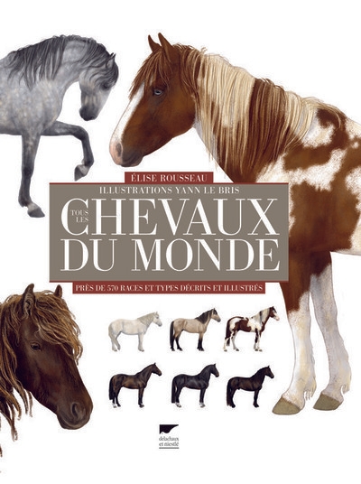 Tous les chevaux du monde - Image principale