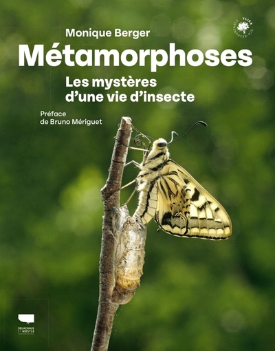 Métamorphoses - Image principale