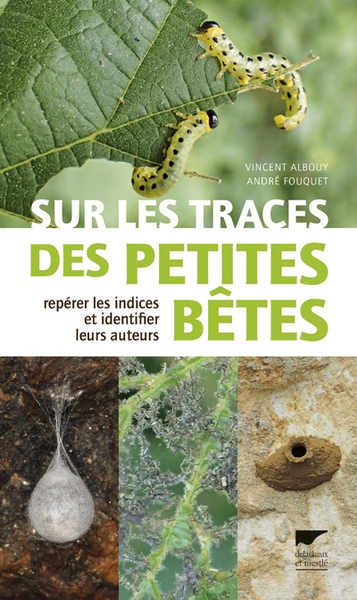 Sur les traces des petites bêtes - Image principale