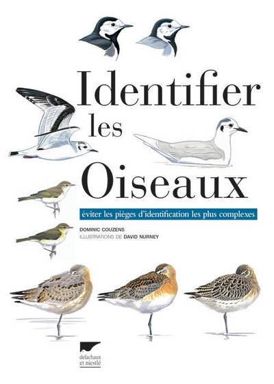 Identifier les oiseaux - Image principale