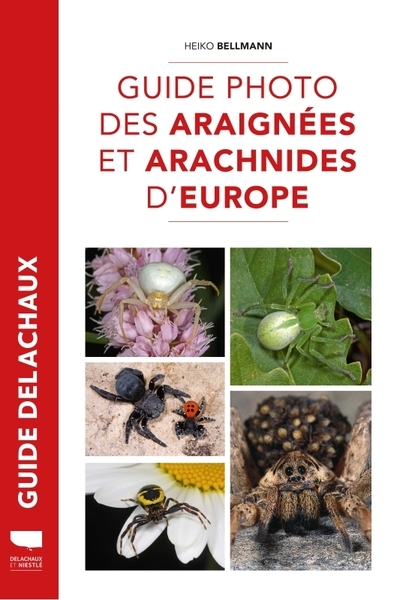 Guide photo des araignées et arachnides d'europe - Image principale