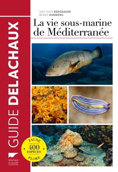 La vie sous-marine de méditerranée - Image principale