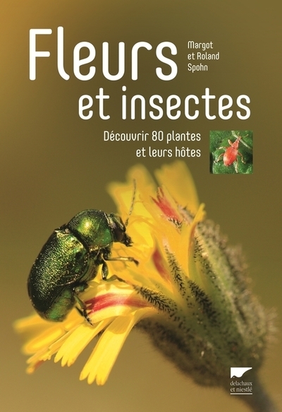Fleurs et insectes - Image principale