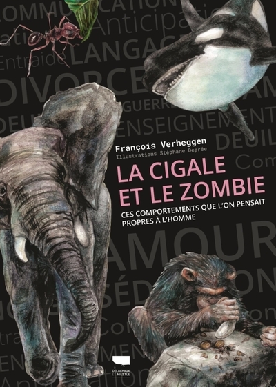 La cigale et le zombie - Image principale