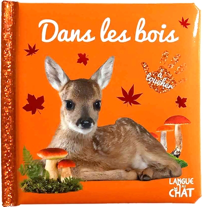 Bébé touche-à-tout - dans les bois t68 - Image principale