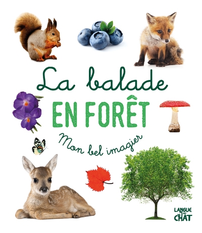 La balade en forêt - mon bel imagier - Image principale