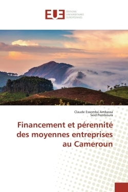 Financement et pérennité des moyennes entreprises au cameroun - Image principale