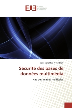 Sécurité des bases de données multimédia - Image principale