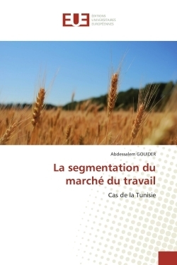 La segmentation du marché du travail - Image principale