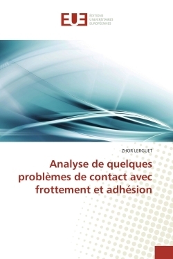 Analyse de quelques problèmes de contact avec frottement et adhésion - Image principale