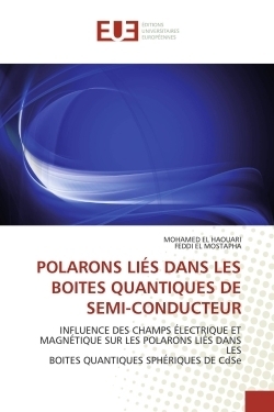 Polarons liés dans les boites quantiques de semi-conducteur - Image principale