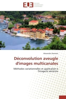Déconvolution aveugle d'images multicanales - Image principale