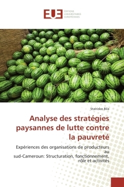 Analyse des stratégies paysannes de lutte contre la pauvreté - Image principale