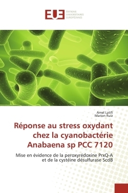 Réponse au stress oxydant chez la cyanobactérie anabaena sp pcc 7120 - Image principale